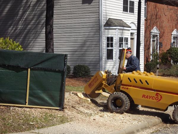 Mark's Stump Grinding