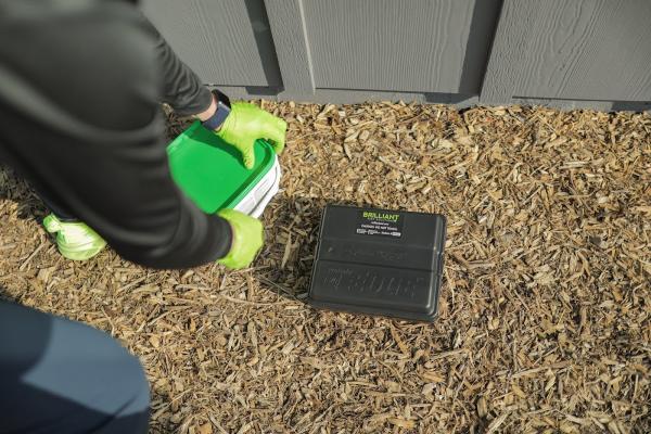 Brilliant Pest Solutions