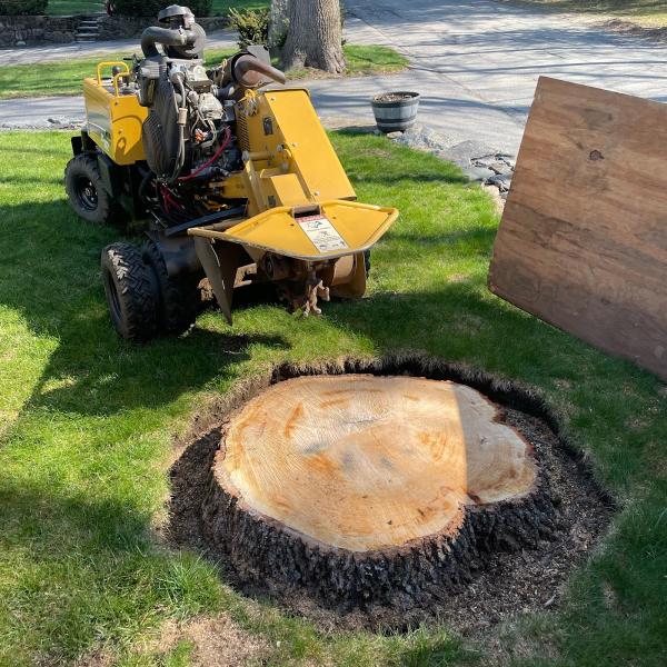 Liberty Stump Grinding