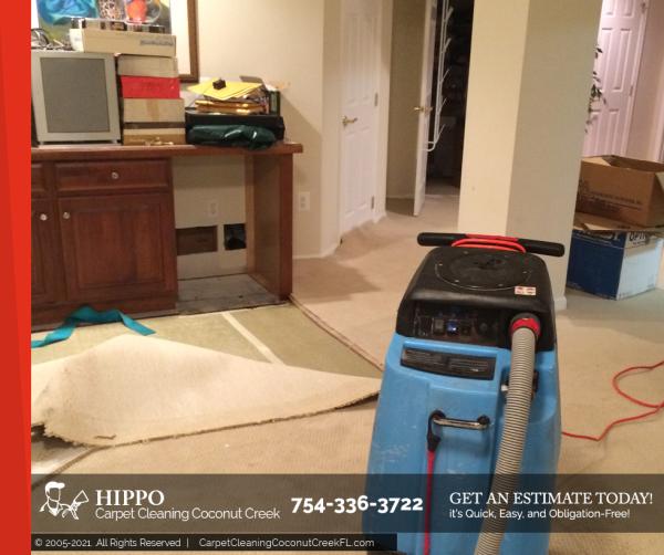 Hippo Carpet Cleaning Coconut Creek