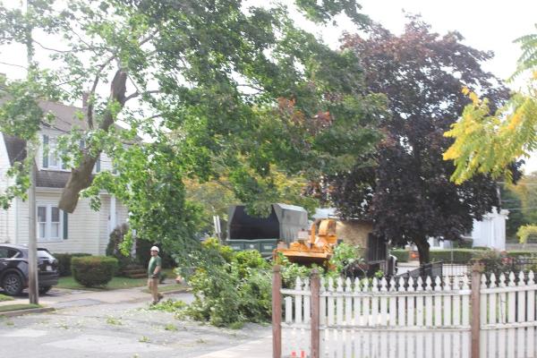Lobel Tree Service Inc