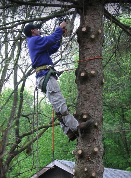 Brown's Tree Service
