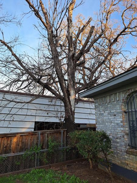 Brown's Tree Service