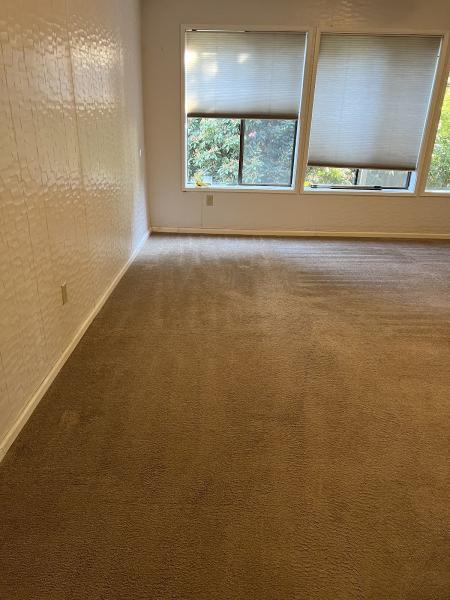 Premier Cleaning