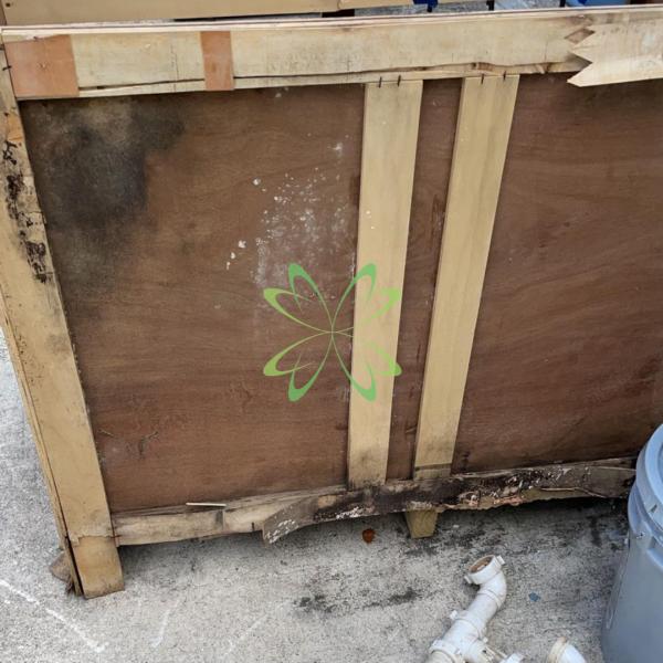 Elite Mold Services