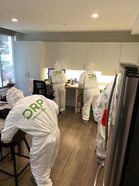 Disaster Restoration Pros