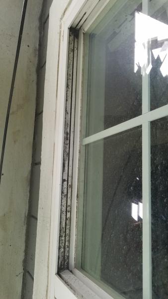 American Window Cleaning