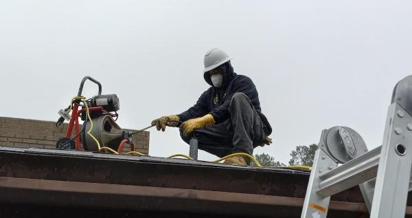 Lions Head Drain Cleaning
