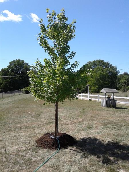 Chet's Nursery & Landscaping