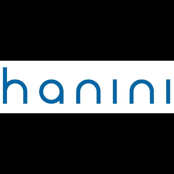 Hanini Group