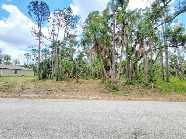 Florida Vegetation Control