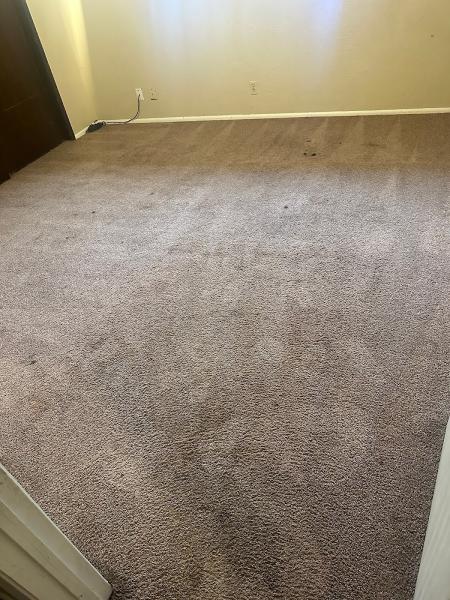 Carpet Cleaning Bros