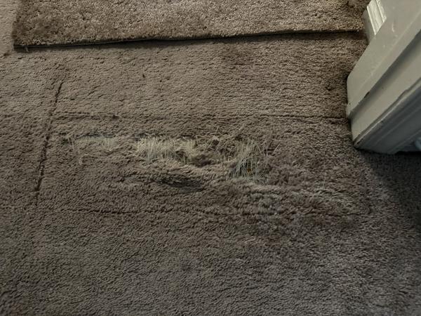 My Way Carpet Floors & More