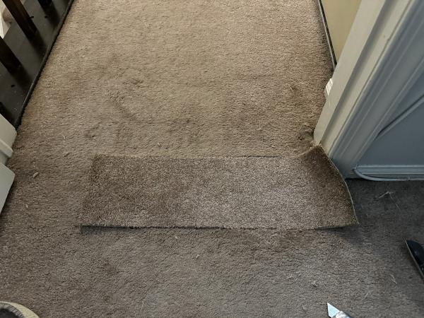 My Way Carpet Floors & More