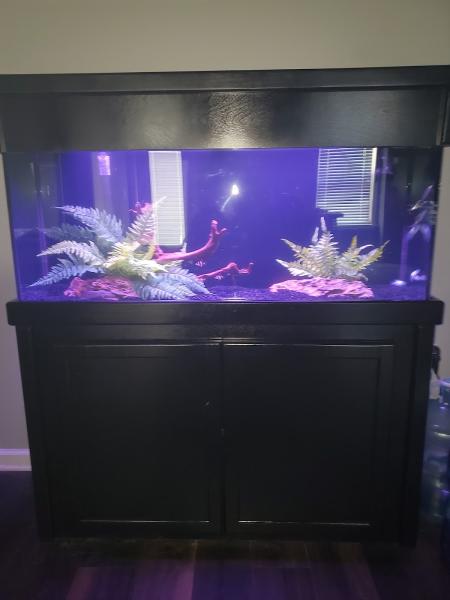 Southeast Aquariums