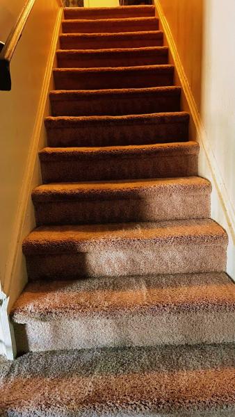 Just Right Carpet Cleaning