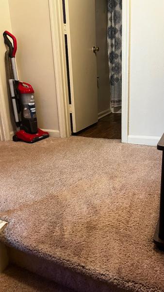 Just Right Carpet Cleaning