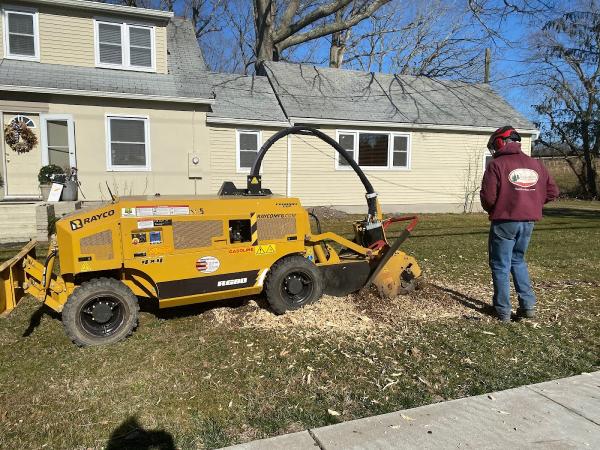 The Tree-Man Tree Service Co
