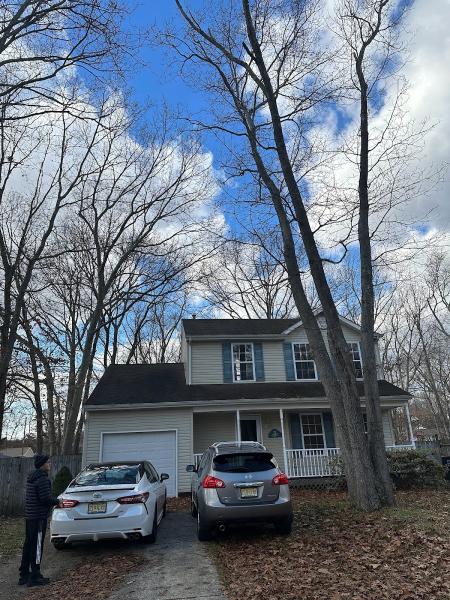 The Tree-Man Tree Service Co