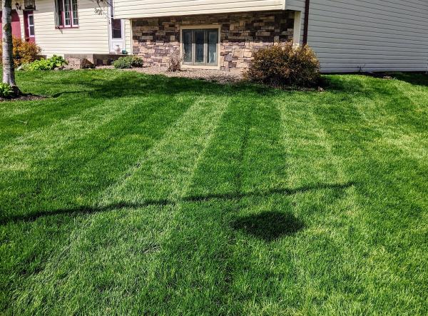 Nice & Precise Lawn Care
