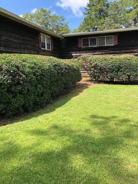 Nacho's Lawn Service & Landscaping LLC