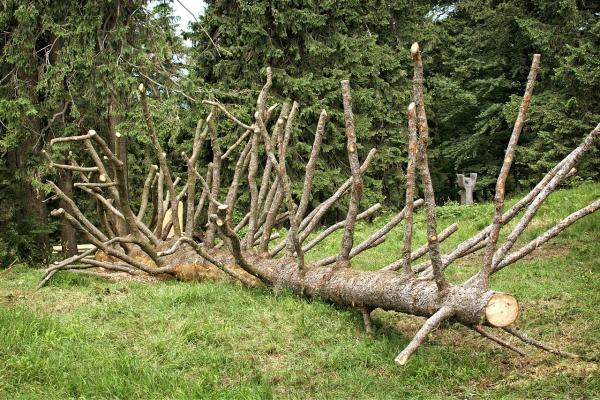 Tree Service