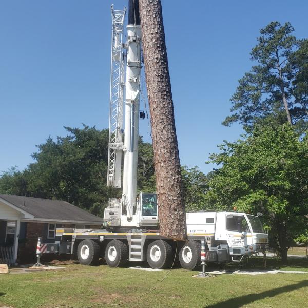 Tree Masters Inc.