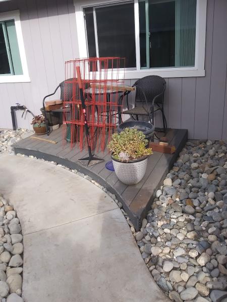 Sanchez Clean Cut Yard Service and Junk Removal