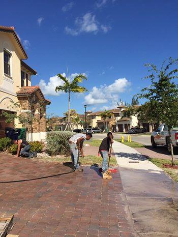 Tropical Pavers