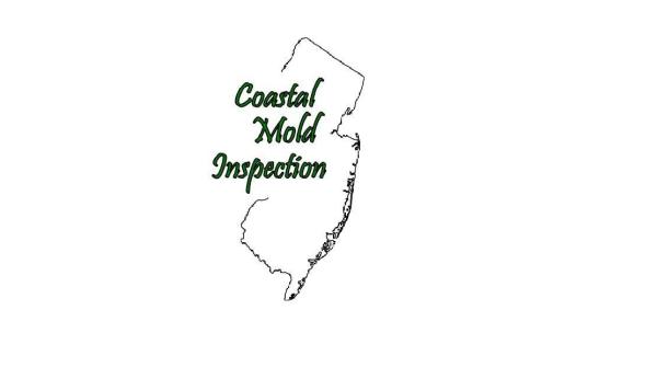 Coastal Mold Inspection