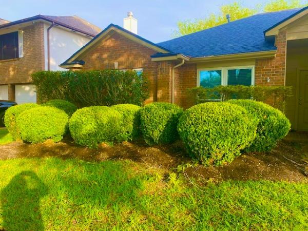 Lawns and Sprinklers USA