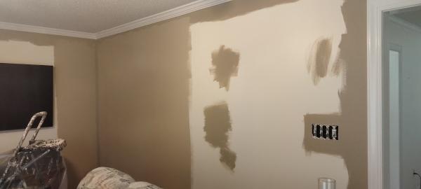 A Handyman and More...
