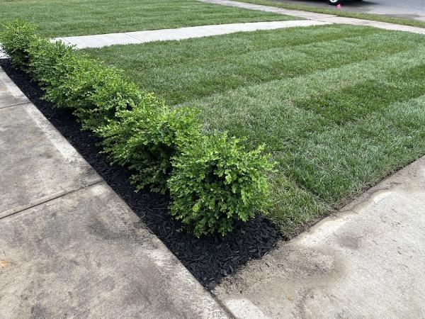 Brighton Lawn + Landscape LLC