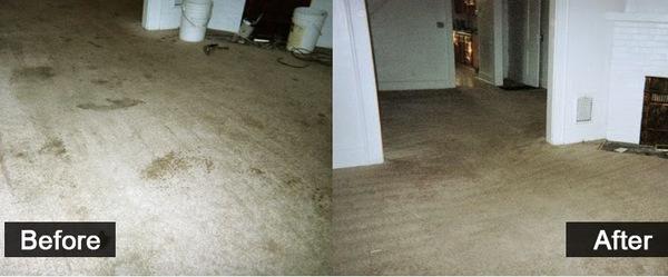 American Carpet Cleaners