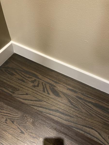 Hardwood Floor Guys Inc