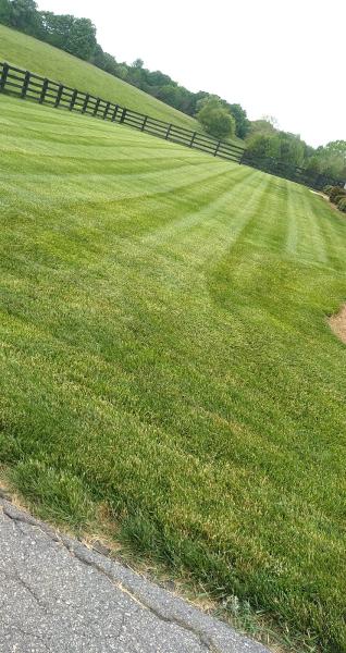 Allscapes By Tyndall Inc