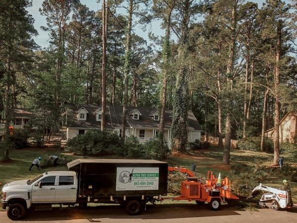 Alpha Tree Service 843 LLC