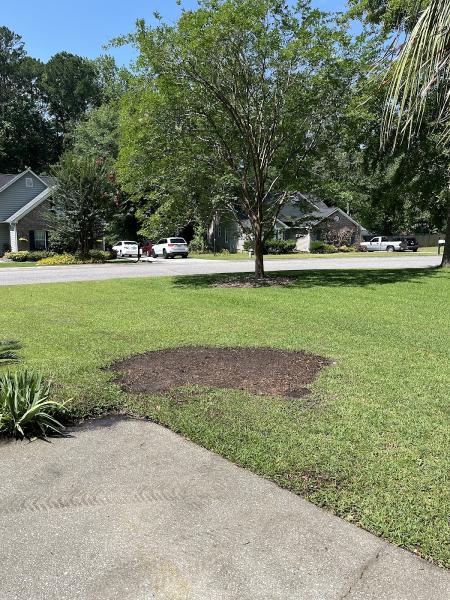 Alpha Tree Service 843 LLC