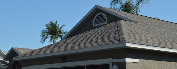 Steves Roofing Services