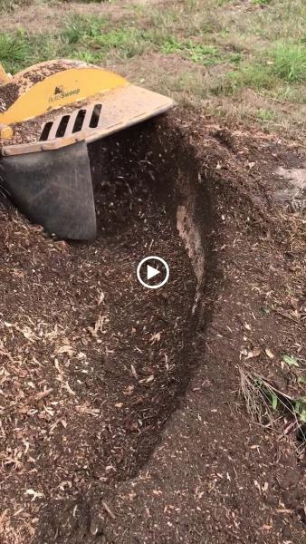 Affordable Stump Grinding