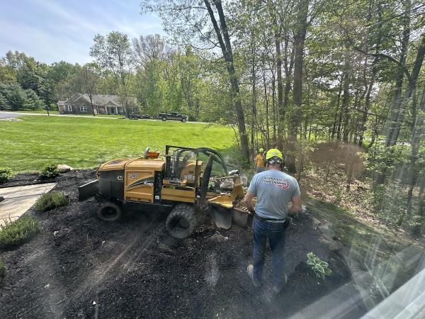 Affordable Stump Grinding