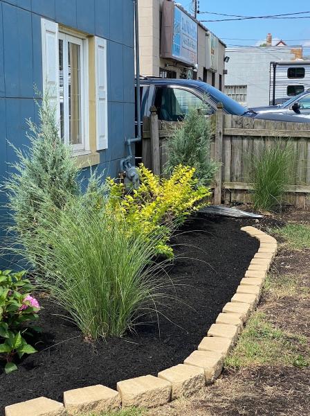 Fiorellas Landscaping