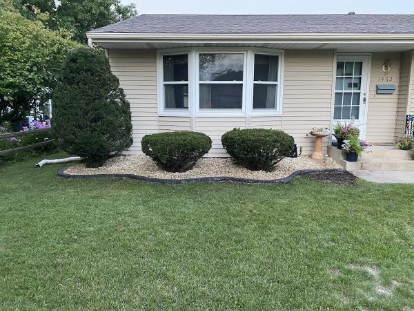 Earthworks Tree & Garden