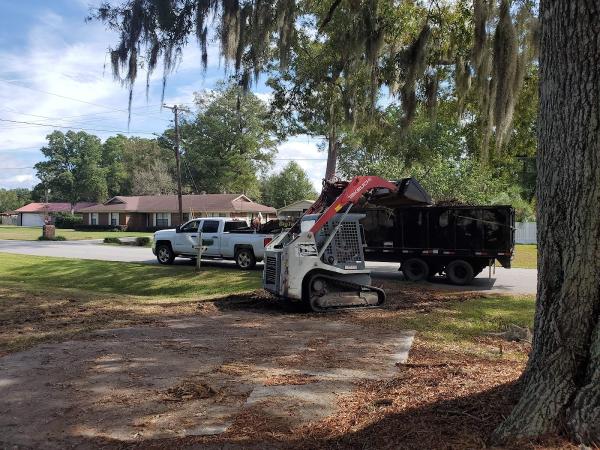 Treeality Tree Services