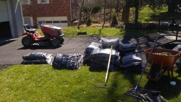 Rays Tree Service