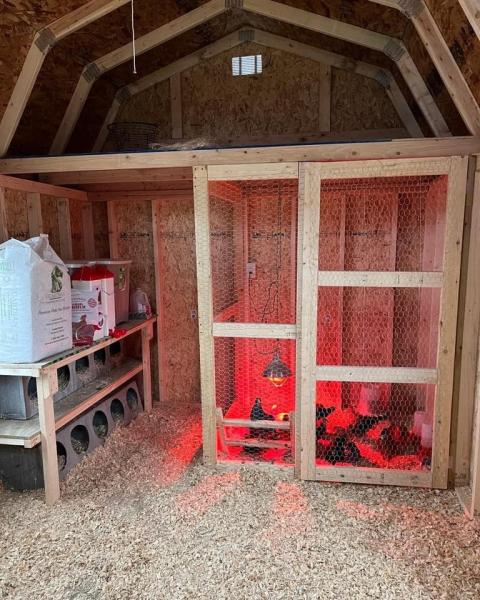 Los Angeles Shed Solutions