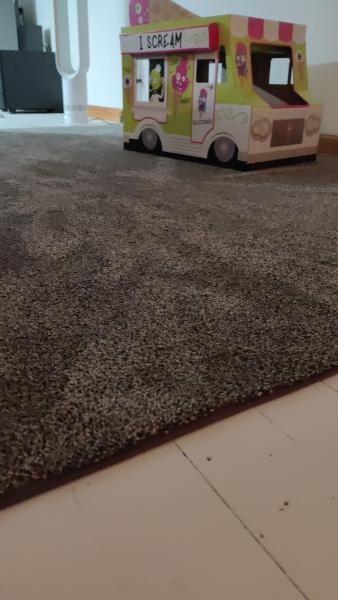 Action Carpet Binding & Repair