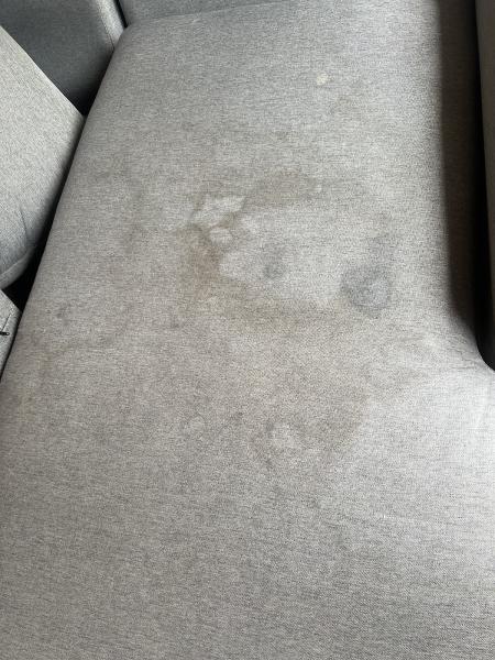 Chapmans Carpet Cleaning