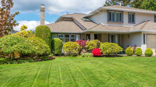 Linchpin Turf Maintenance