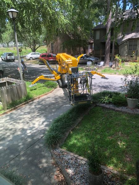 Alpine Tree Care